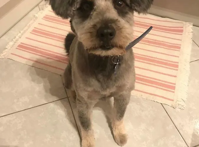 Zen - Heated Pool, Ev Type 2 * トロギール